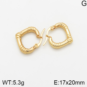 Stainless Steel Earrings  5E2002352avja-446