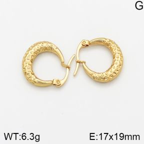 Stainless Steel Earrings  5E2002354avja-446