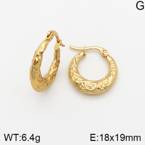 Stainless Steel Earrings  5E2002357avja-446