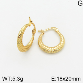 Stainless Steel Earrings  5E2002361avja-446