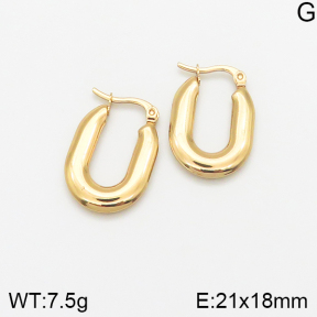 Stainless Steel Earrings  5E2002365avja-446