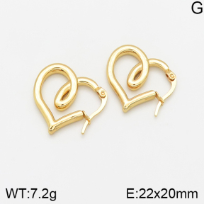 Stainless Steel Earrings  5E2002369avja-446