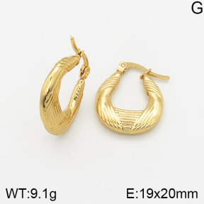 Stainless Steel Earrings  5E2002370avja-446