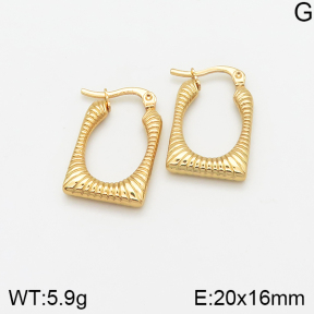 Stainless Steel Earrings  5E2002371avja-446