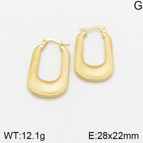 Stainless Steel Earrings  5E2002372avja-446