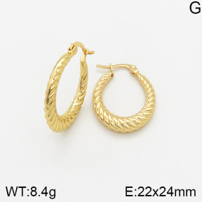 Stainless Steel Earrings  5E2002373avja-446