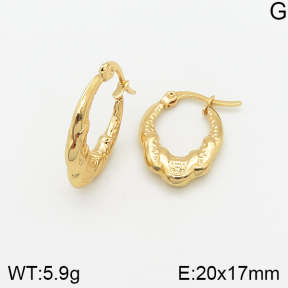 Stainless Steel Earrings  5E2002374avja-446