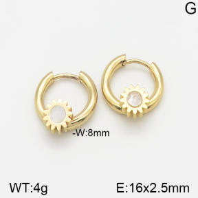 Stainless Steel Earrings  5E3000945avja-703