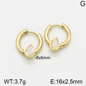 Stainless Steel Earrings  5E3000946avja-703