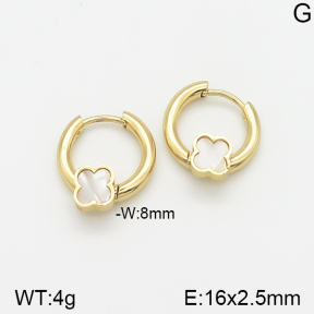Stainless Steel Earrings  5E3000947avja-703