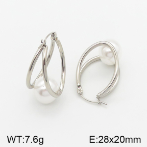 Stainless Steel Earrings  5E3000950aako-703