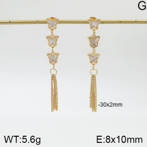 Stainless Steel Earrings  5E3000954aakl-446