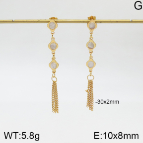 Stainless Steel Earrings  5E3000959aakl-446