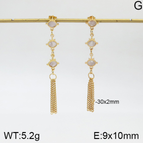 Stainless Steel Earrings  5E3000961aakl-446