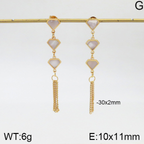 Stainless Steel Earrings  5E3000964aakl-446