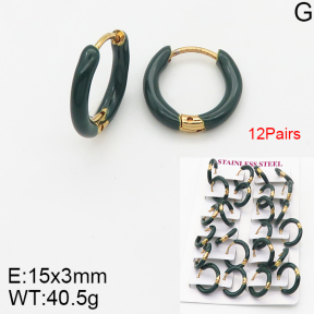 Stainless Steel Earrings  5E3000999ajma-446
