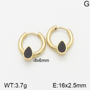 Stainless Steel Earrings  5E4002141avja-703