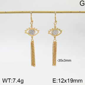 Stainless Steel Earrings  5E4002159aakl-446