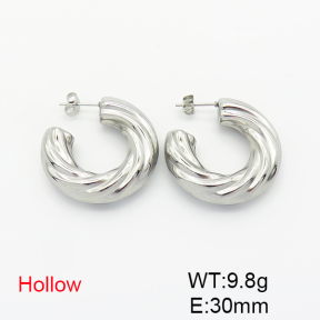 Stainless Steel Earrings  6E2006224bbpi-G029
