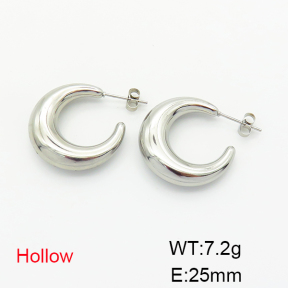 Stainless Steel Earrings  6E2006228vbpb-G029