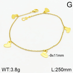 Stainless Steel Anklets  2A9000901vbnb-314
