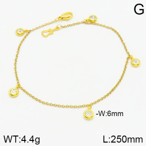Stainless Steel Anklets  2A9000904vbnb-314