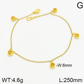 Stainless Steel Anklets  2A9000905vbnb-314
