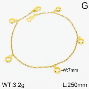 Stainless Steel Anklets  2A9000919vbnb-314