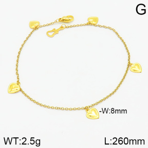 Stainless Steel Anklets  2A9000921vbnb-314