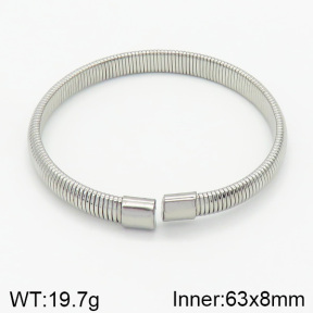 Stainless Steel Bangle  2BA200453vbnb-312
