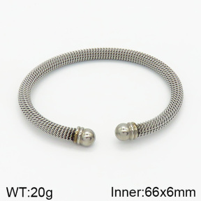 Stainless Steel Bangle  2BA200458vbnb-312