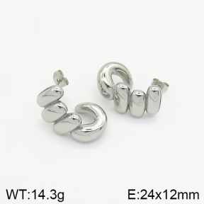 Stainless Steel Earrings  2E2001982vbnb-334
