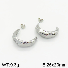 Stainless Steel Earrings  2E2001984vbnb-334