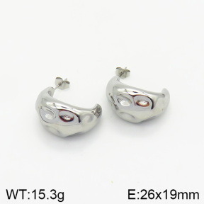 Stainless Steel Earrings  2E2001986vbnb-334