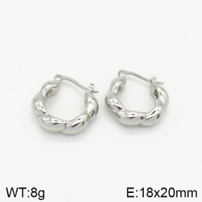 Stainless Steel Earrings  2E2001988vbnb-334