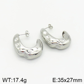 Stainless Steel Earrings  2E2001990vbnb-334