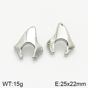 Stainless Steel Earrings  2E2001992vbnb-334