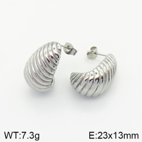 Stainless Steel Earrings  2E2001994vbnb-334