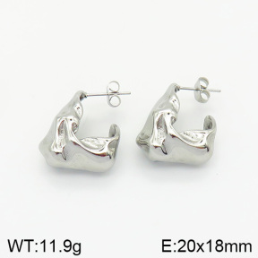 Stainless Steel Earrings  2E2001998vbnb-334