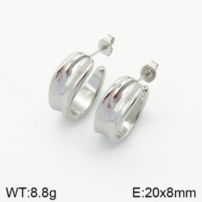Stainless Steel Earrings  2E2002000vbnb-334