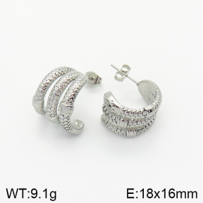 Stainless Steel Earrings  2E2002002vbnb-334