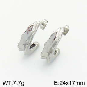 Stainless Steel Earrings  2E2002004vbnb-334