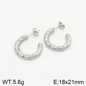 Stainless Steel Earrings  2E2002012vbnb-334