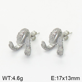 Stainless Steel Earrings  2E2002014vbnb-334