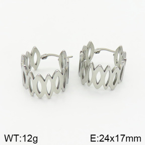 Stainless Steel Earrings  2E2002016vbnb-334