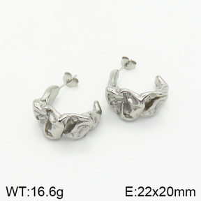 Stainless Steel Earrings  2E2002018vbnb-334