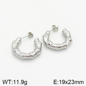 Stainless Steel Earrings  2E2002020vbnb-334