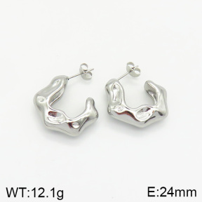 Stainless Steel Earrings  2E2002022vbnb-334