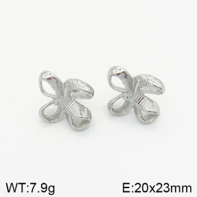 Stainless Steel Earrings  2E2002024vbnb-334