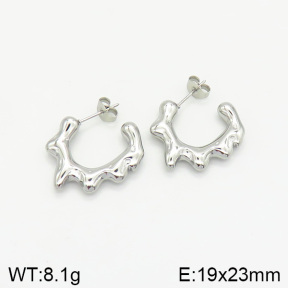 Stainless Steel Earrings  2E2002026vbnb-334